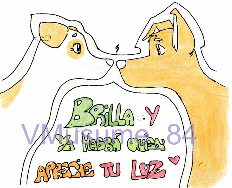 Conexión y vida